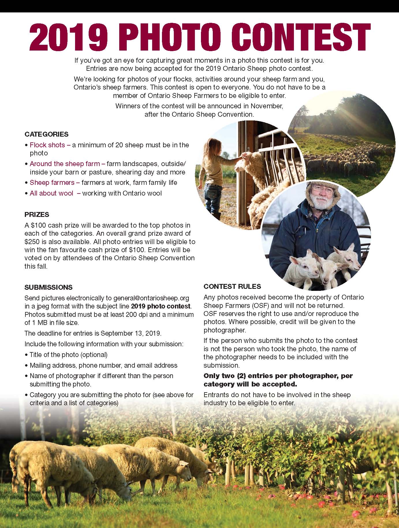 2019 Ontario Sheep Farmers photo contest