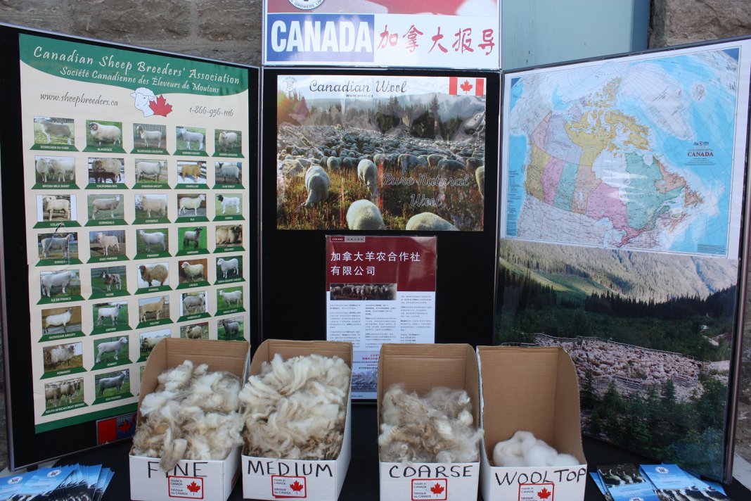 Canadian wool display  at Lambs Down Park Festival 2018